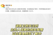 吃瓜系统娱乐