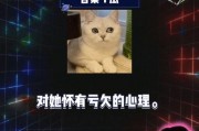 娱乐八卦快乐吃瓜,快乐吃瓜，揭秘明星幕后故事