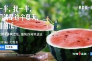 娱乐吃瓜评论文案怎么写,揭秘吃瓜群众的狂欢盛宴